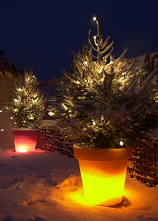Bloom! POT Blumentopf - Weihnachten bei Nacht