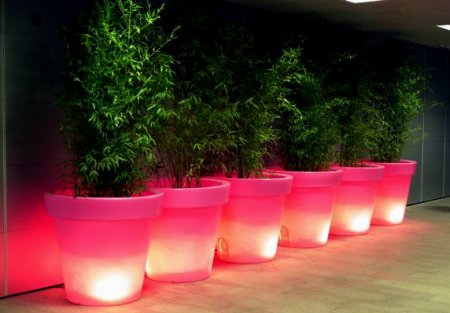 Bloom! POT Blumentopf beleuchtet - in rose: sensationell