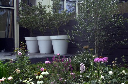 Bloom! POT Blumentopf beleuchtet - Im Garten
