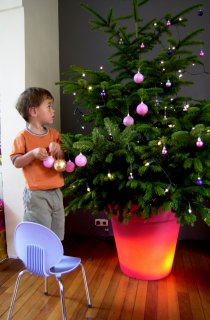 Bloom! POT Blumentopf beleuchtet rose zu Weihnachten