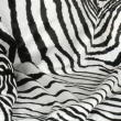 CARMA Plaid ZEBRA WHITE 130x180 cm