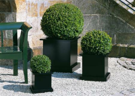Flower Blumenk�bel