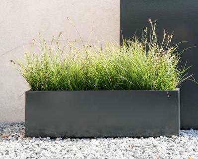 Flowerbox 5 Pflanzgef��