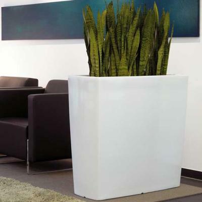 TREVIA IV Pflanzbank / Pflanzk�bel