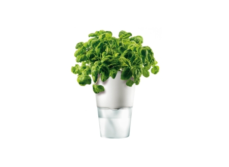 Blumentopf Eva Solo gro�