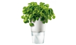 Blumentopf selbstbew�ssernd, Hersteller Eva Solo, Design von Tools Design