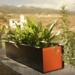 FLORA Blumenkasten Sunset