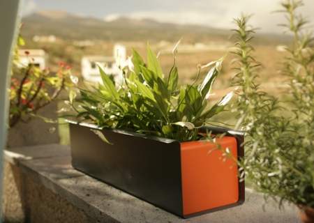 FLORA Blumenkasten Sunset - anthrazit/orange