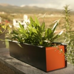 FLORA Kr�uterkasten Provence
