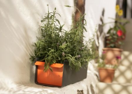 FLORA Kr�uterkasten Provence - anthrazit/orange