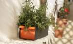 FLORA Kr�uterkasten Provence, Hersteller FLORA Gartenausstattung, Design von Michael Koenig