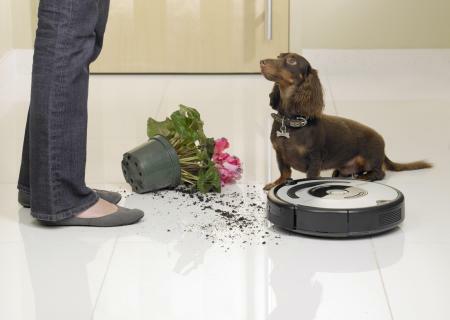 iRobot ROOMBA Staubsaug-Roboter