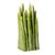 GRASS Vase small