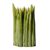 GRASS Vase medium