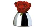 Bulb Vase, Hersteller Philippi Design, Design von Philippi Design