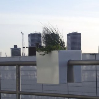 STECKLING CUBE Balkon Pflanzgef��