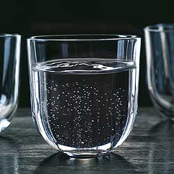 Palsby Trinkgl�ser 6er-Set