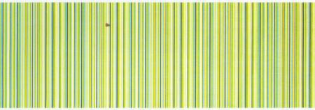 Weish�upl Stoff�bersicht - DOLAN 17 spring mini
