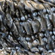 CARMA Plaid Ferret, CARMA Plaids, Designer CARMA Plaids CARMA Plaid Ferret, Marke CARMA Plaids, Designer CARMA Plaids