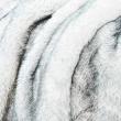 CARMA Plaid Husky grey 140x180 cm