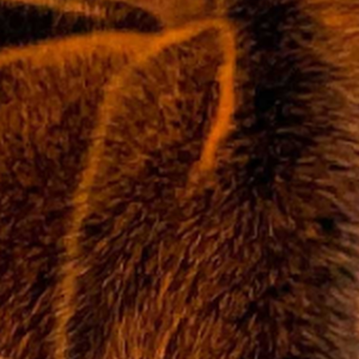 CARMA Plaid Fancy Fuchs orange