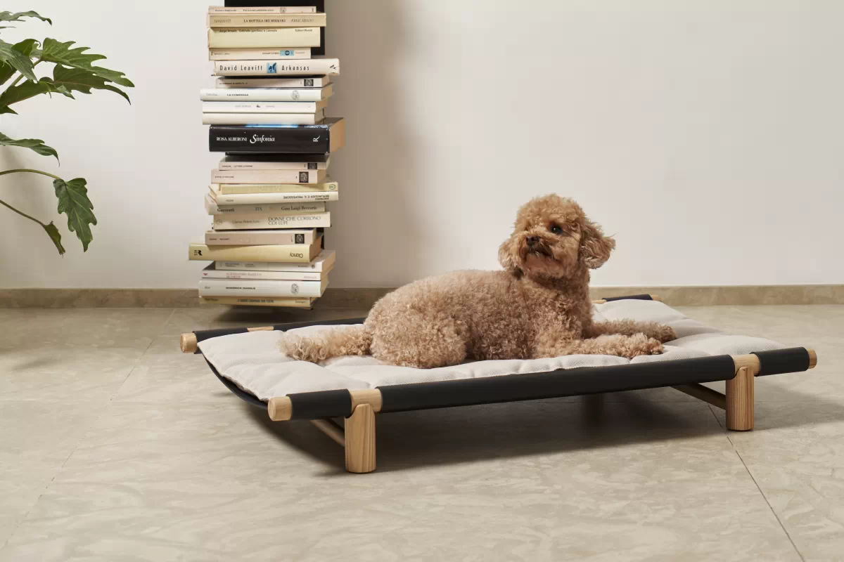 Berbere Luxus Hundereisebett, in Schwarz mit Kissen und ein Hund liegt drauf von OpinionCIATTI Berbere Luxus Hundereisebett, in Schwarz mit Kissen und ein Hund liegt drauf