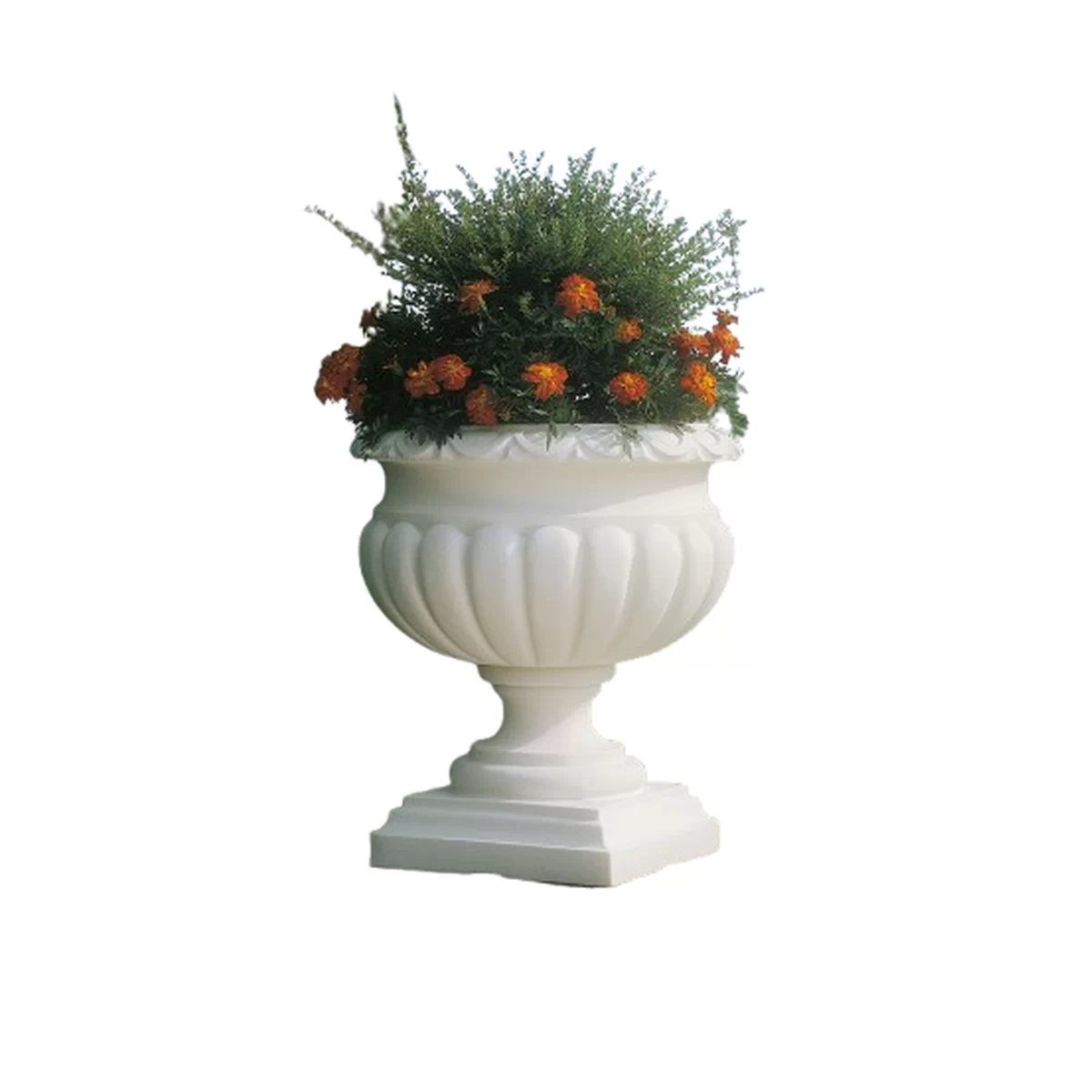 Etrusca Vase, e