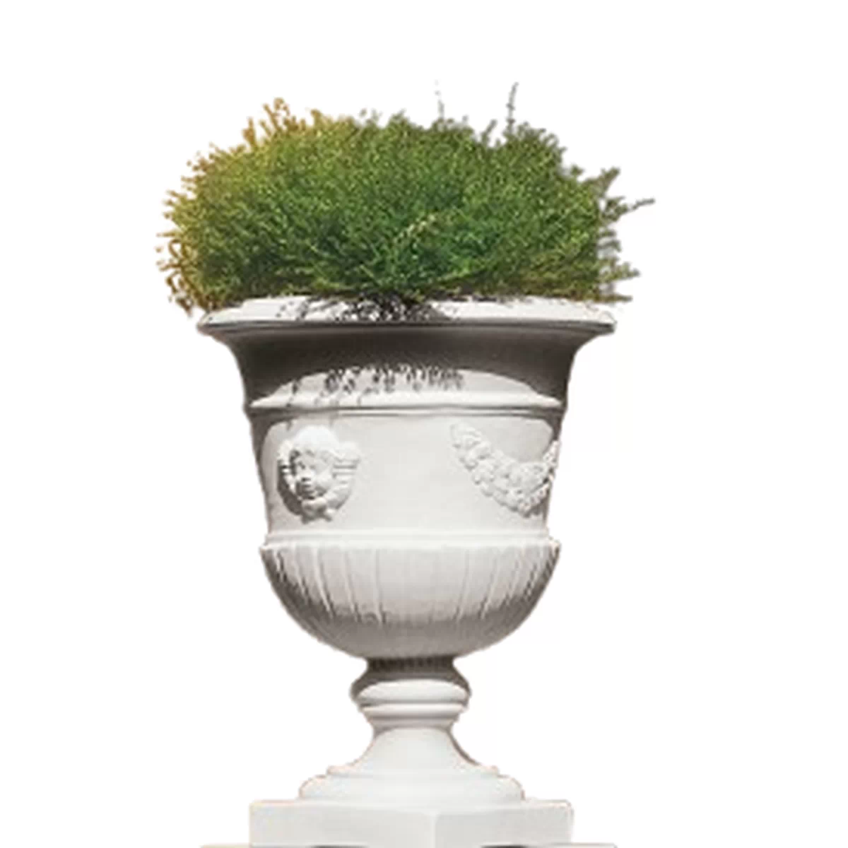 Putti Vase, e
