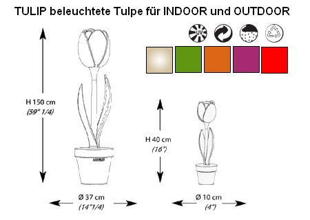 MyYour Tulpe beleuchtet XL technische Daten