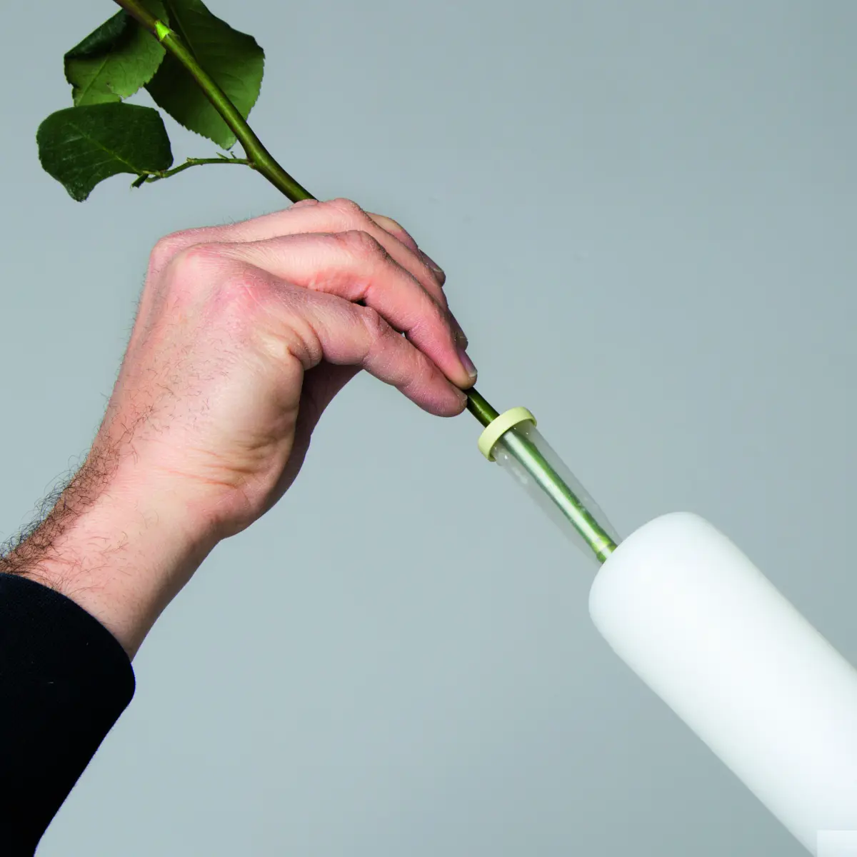 AMPOULE Standleuchte und Vase