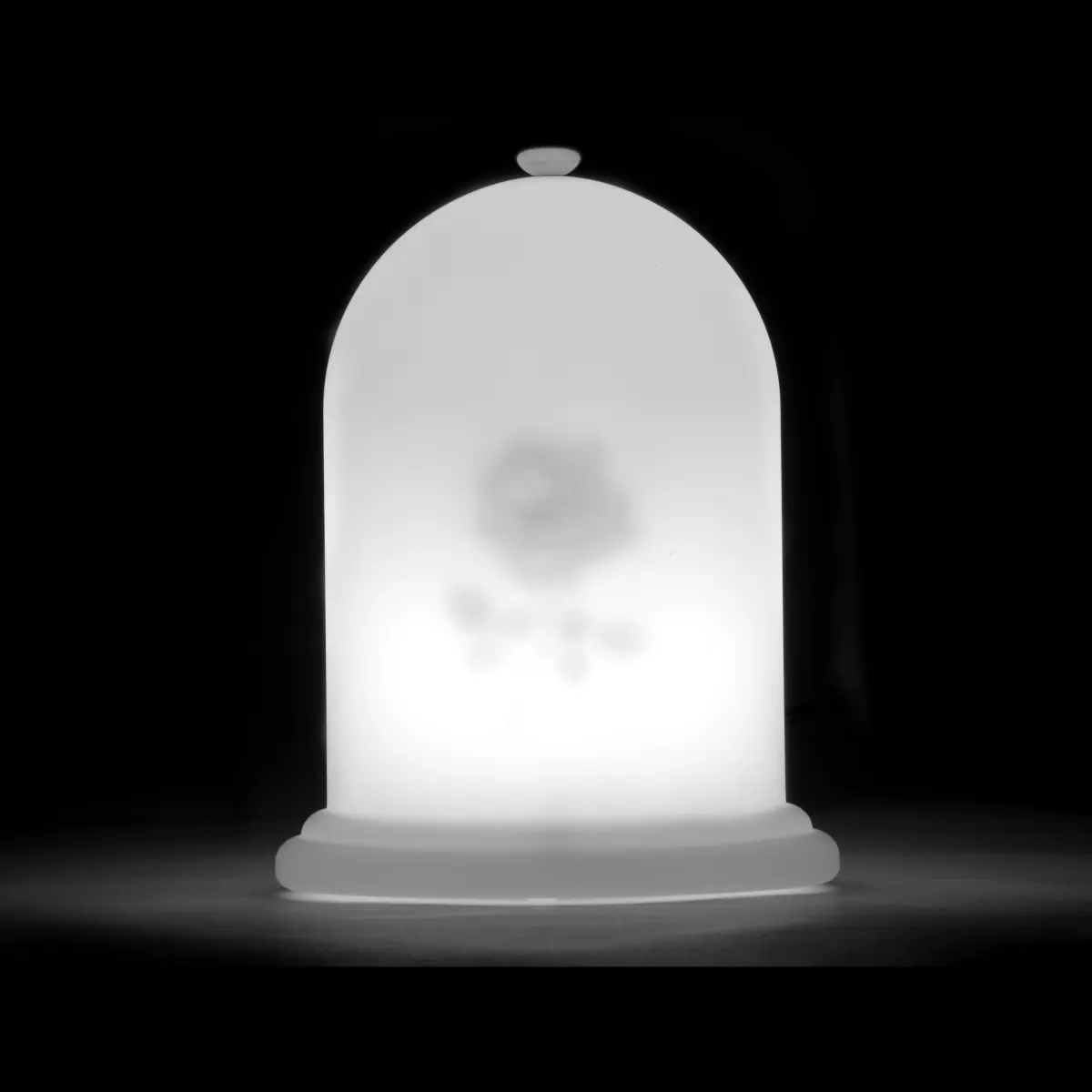 LIGHT TALES Nachtlicht Variante Rose beleuchtet