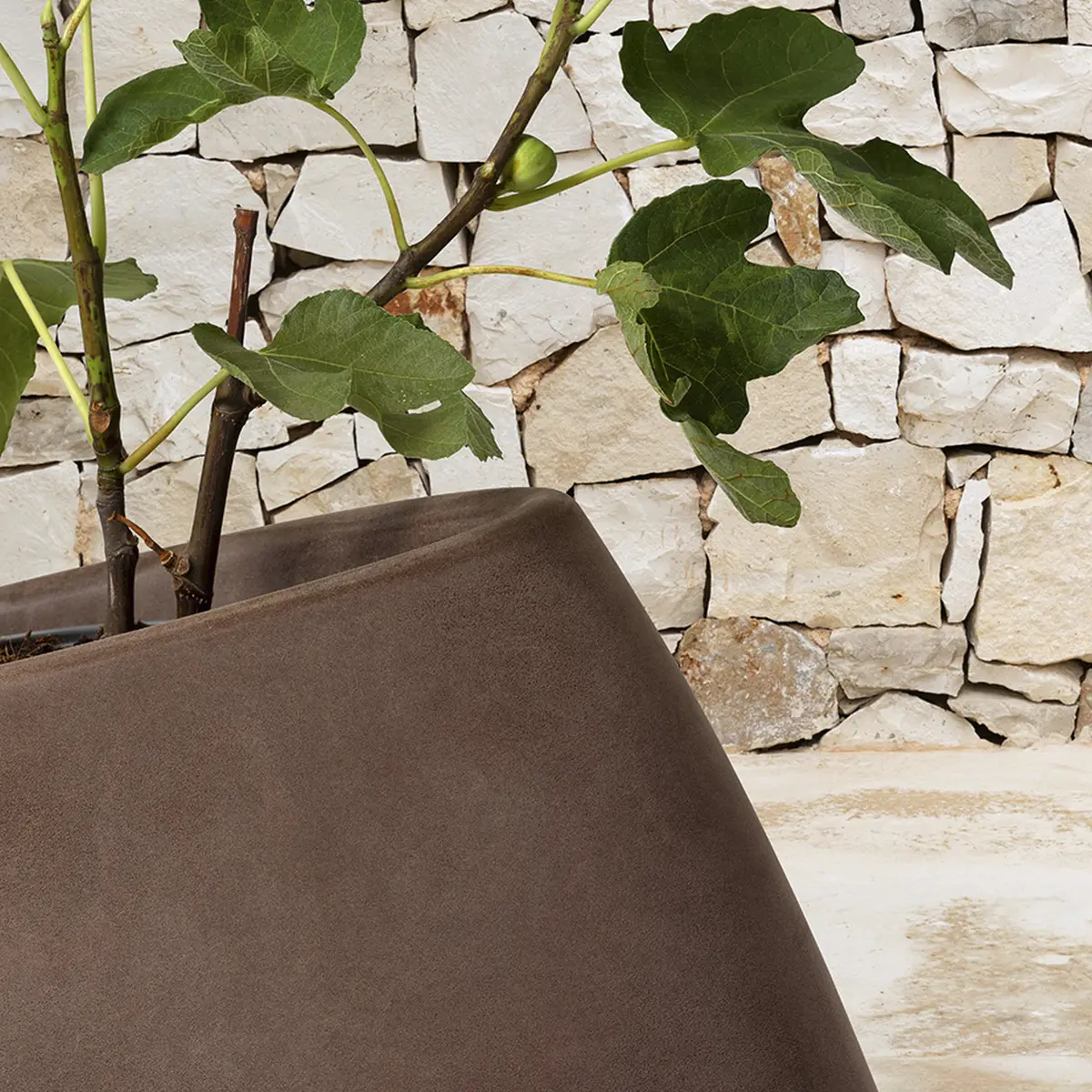 TAO Vase Nahaufnahme mit Pflanze drinne