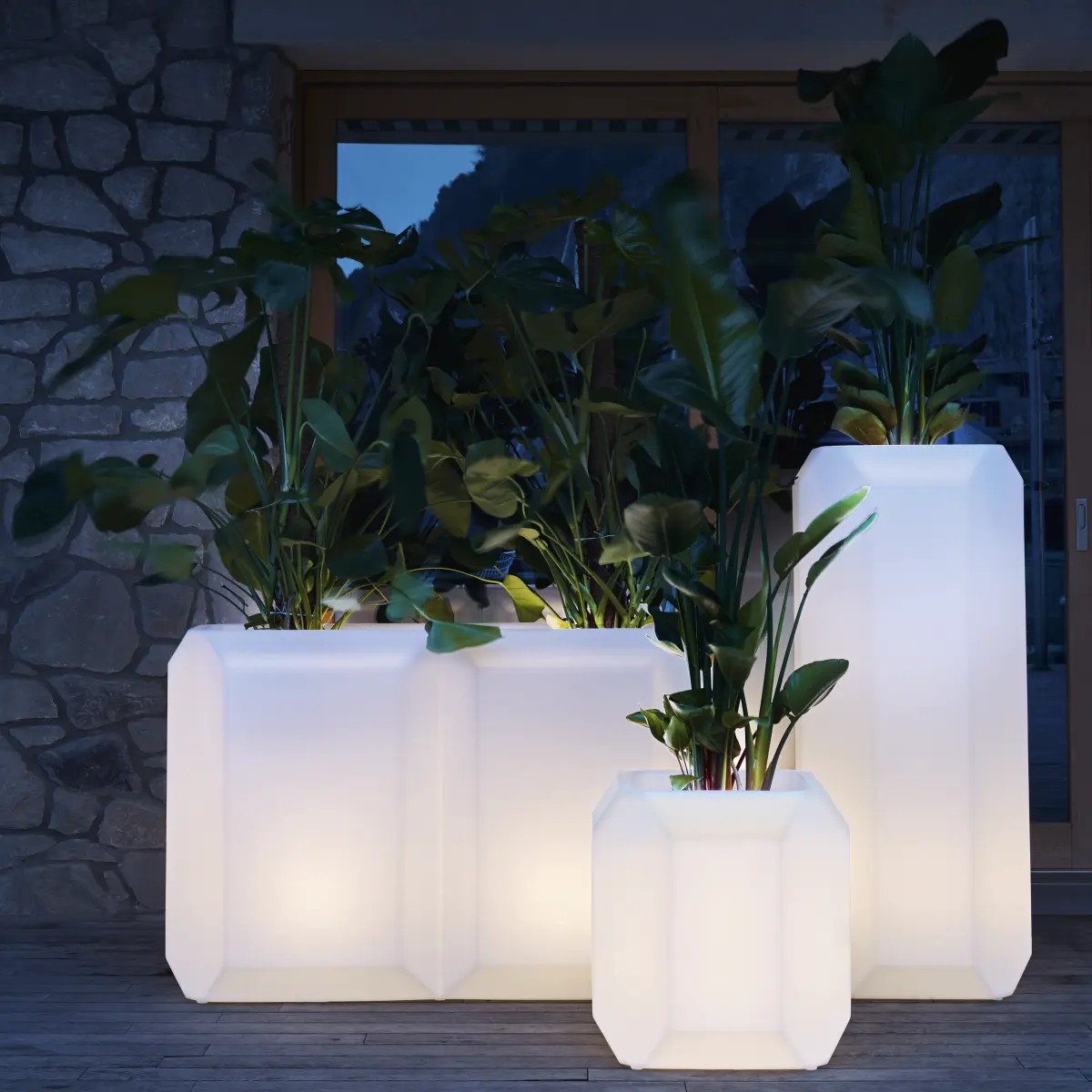 GEM Vase 3 Gr��en beleuchtet mit Pflazen drinne Ambientebild