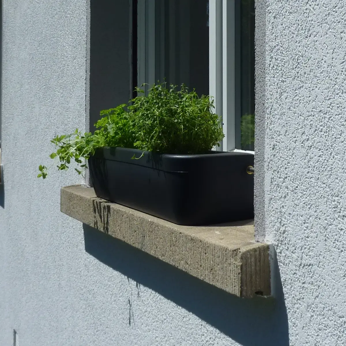 WINDOWGREEN Fensterbank Blumenkasten