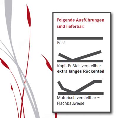 PERFLEXION 45 EL 4M Lattenrost elektrisch