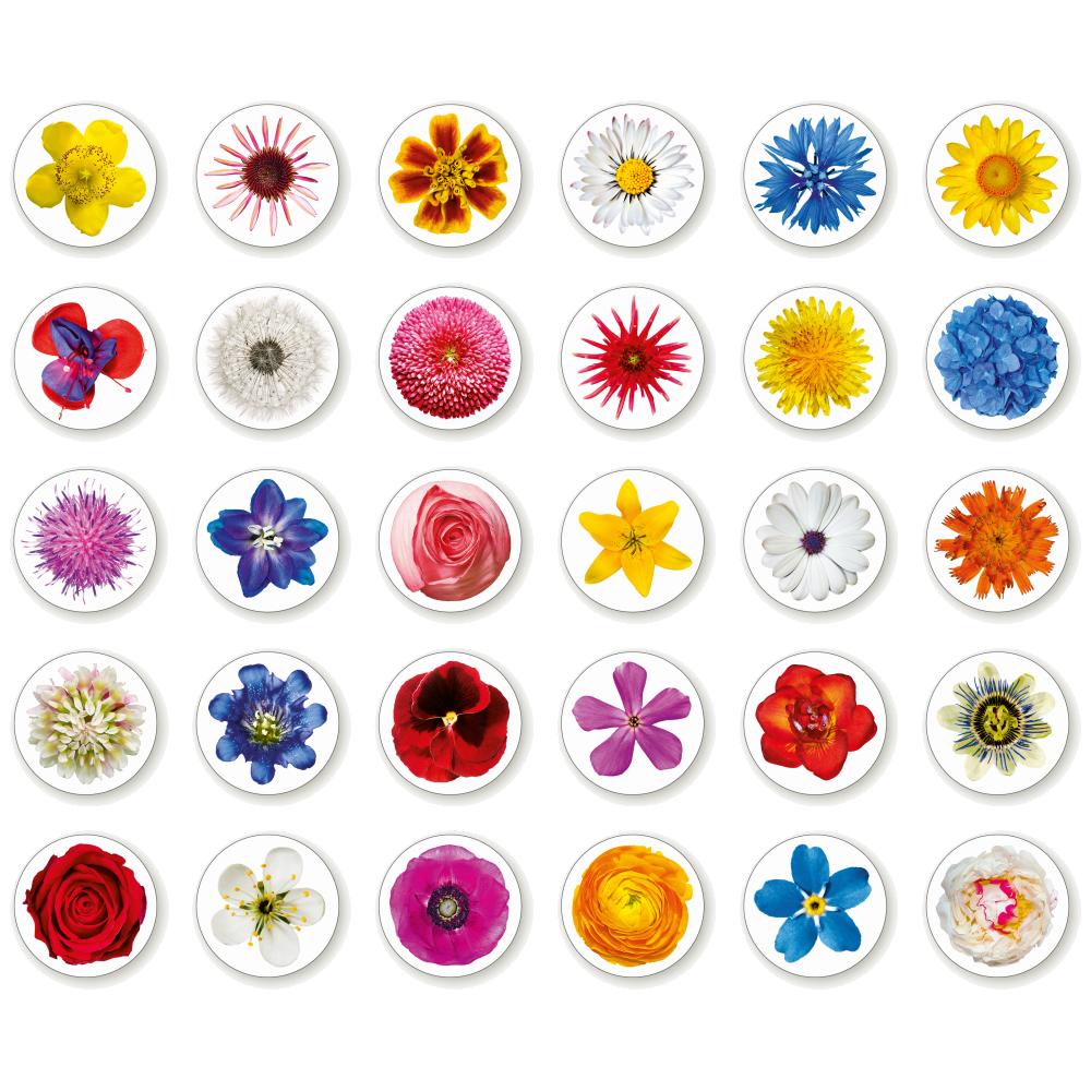 DOUBLEBLOOM Memo-Spiel 60 Spielkarten, Motiv Blumen und Blüten