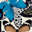 Stoff BUTTERFLY: BUTTERFLY lapsis BUTTERFLY lapsis