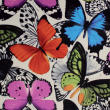 Stoff BUTTERFLY: BUTTERFLY rio BUTTERFLY rio