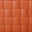 saddle leather orange